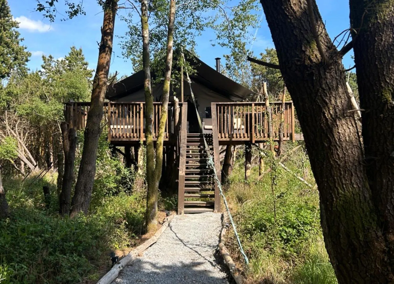Luxury Tree Top Glamping Safari Tent 基拉尼 豪华帐篷