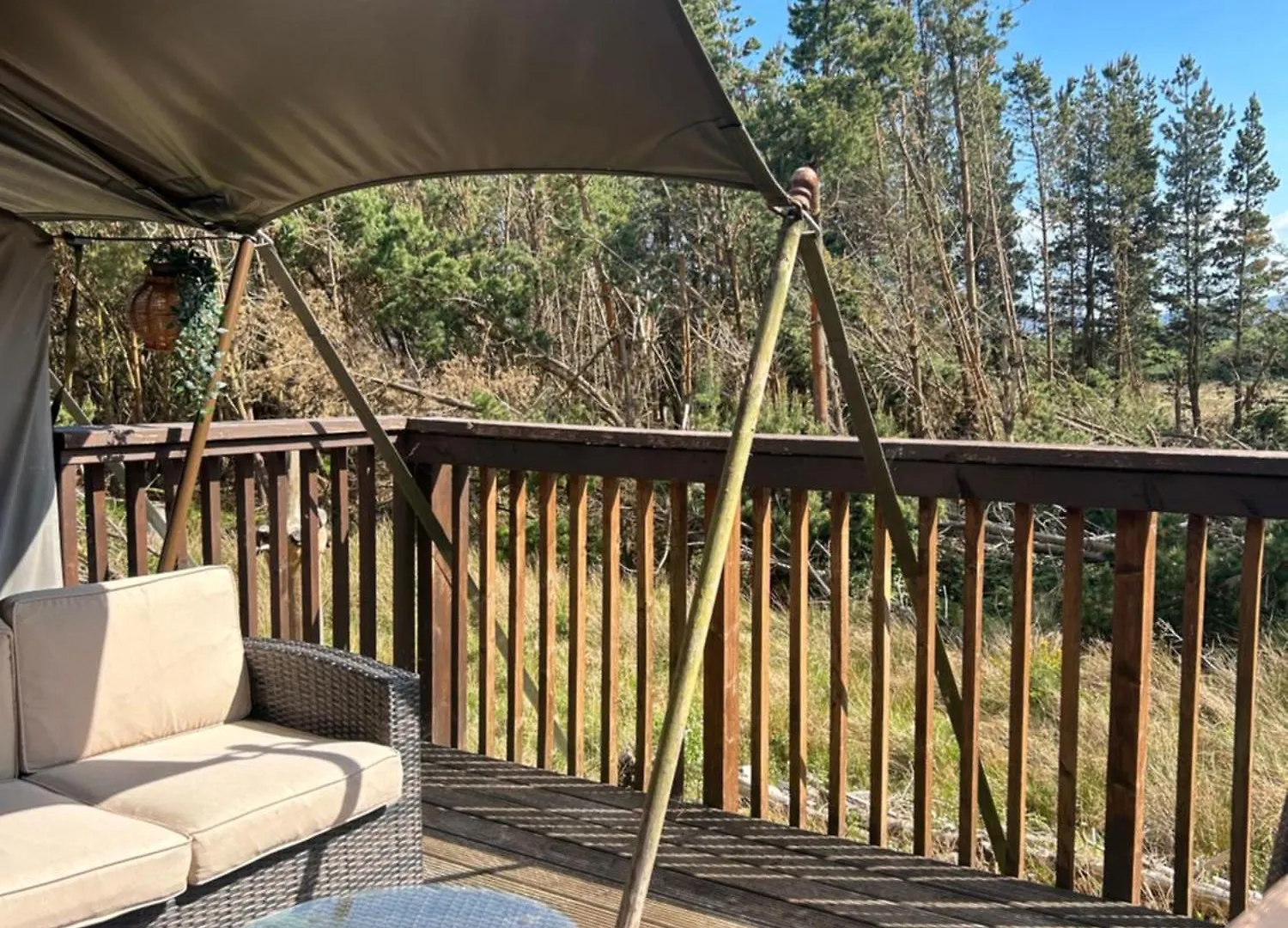 Luxury tent Luxury Tree Top Glamping Safari Tent Killarney